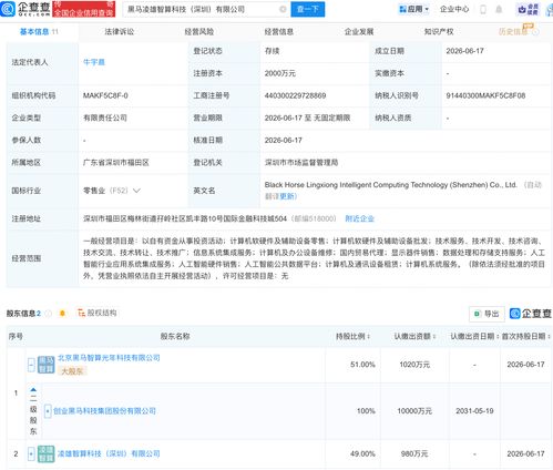 创业黑马等携手成立凌雄智算科技，瞄准AI与数据服务新赛道