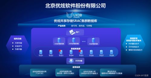 优炫软件自主研发再结硕果，共享存储SRAC集群数据库重磅发布，开启数据处理与存储新纪元